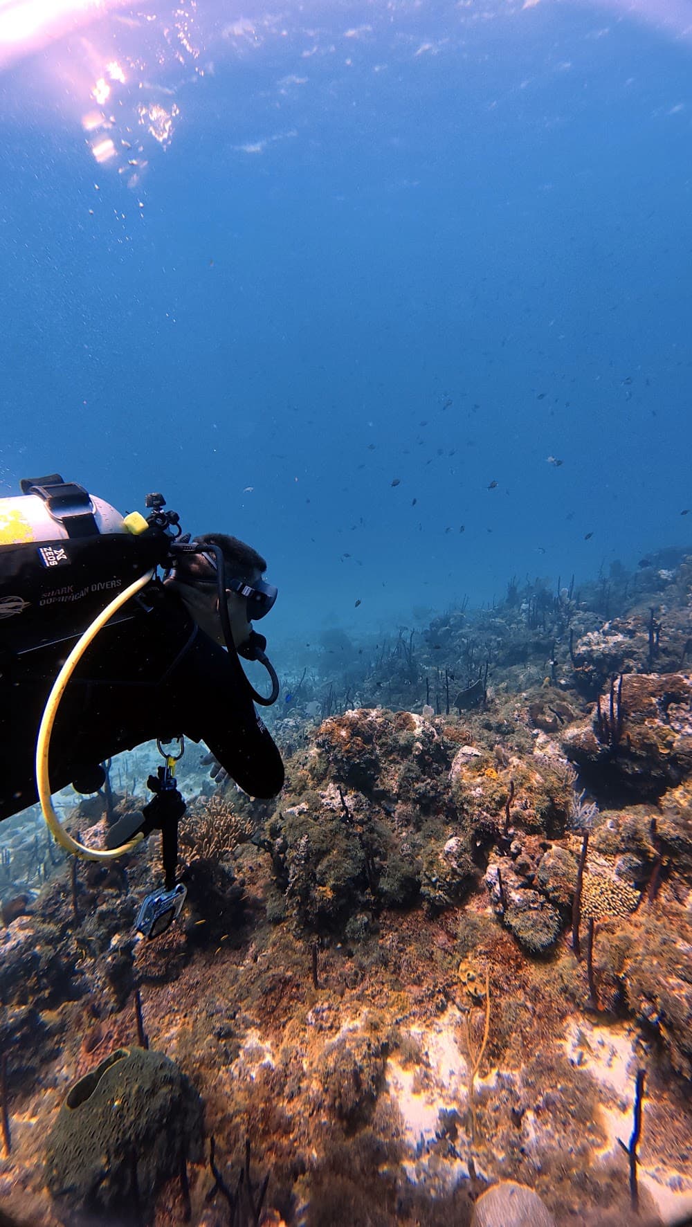 Catalina Island — The site