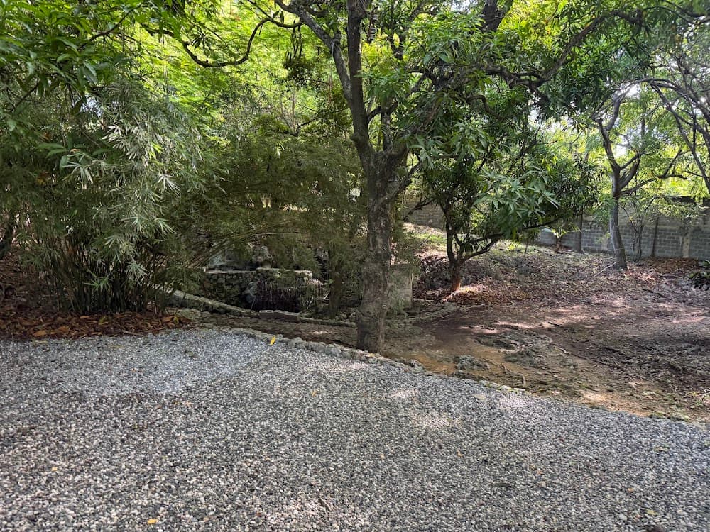 Taína cave — The site