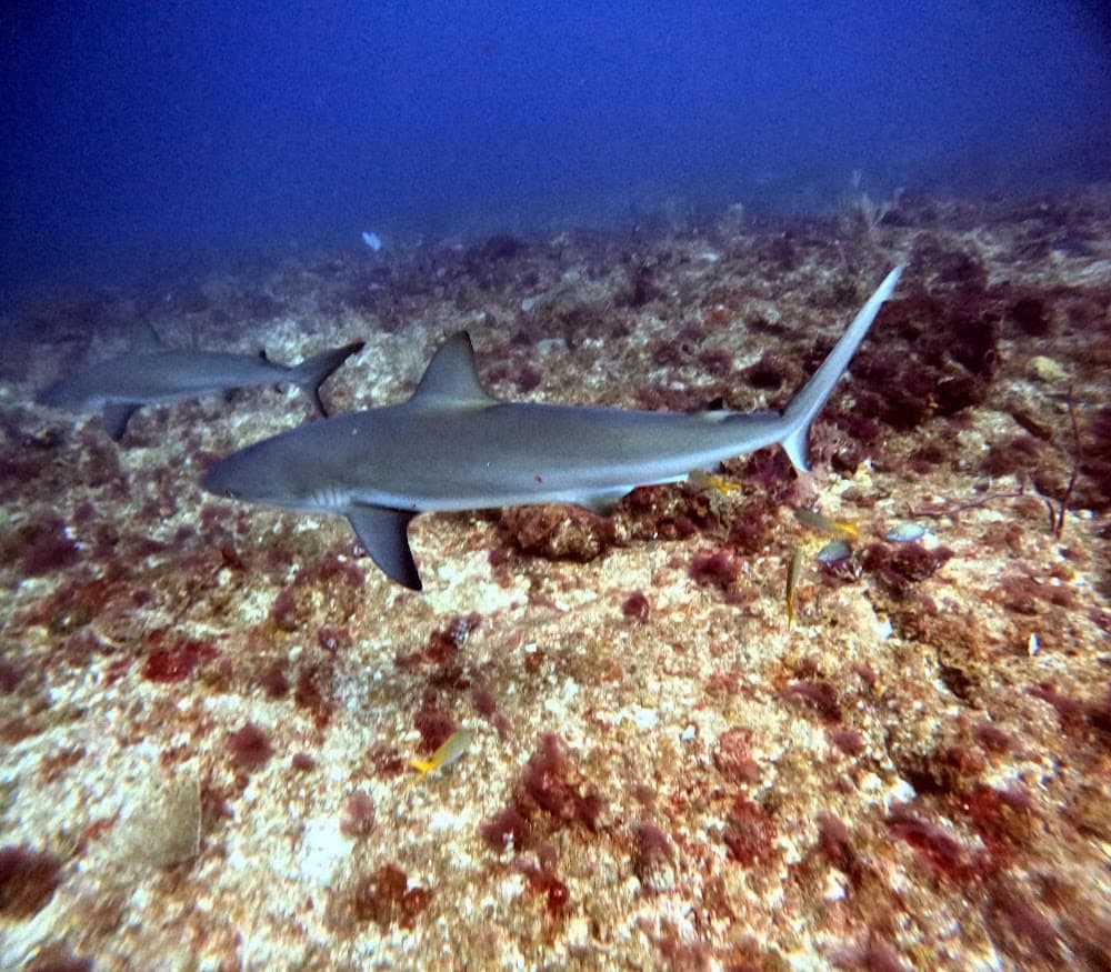 IMG_4838.JPG