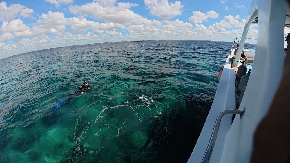 Catalina Island — The site