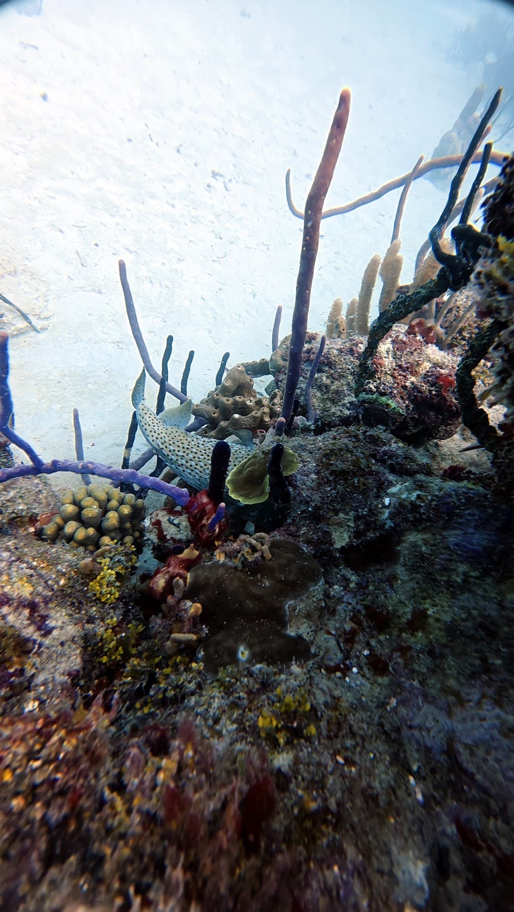 IMG_6251.JPG
