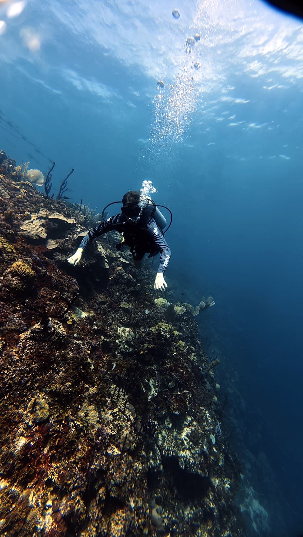 Catalina Island — The site