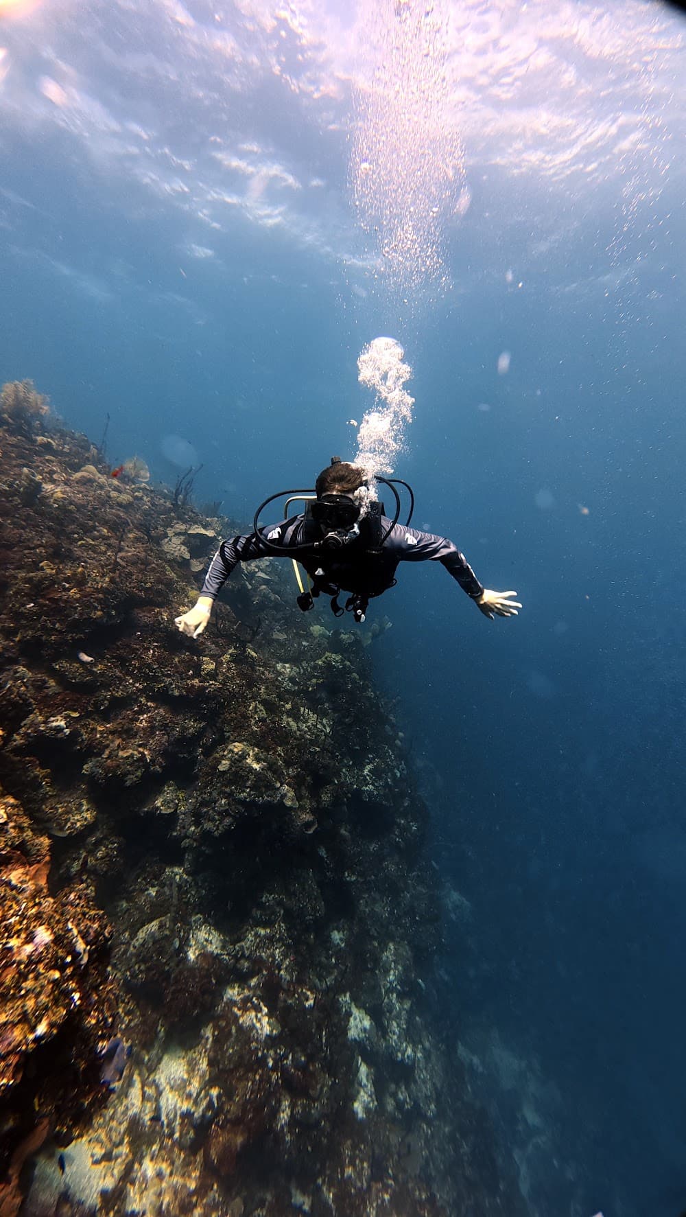 Catalina Island — The site