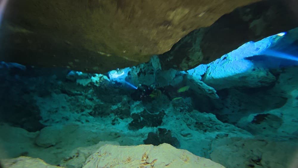 dji_mimo_20260924_112452_20260924112452_1790268680981_photo.jpg