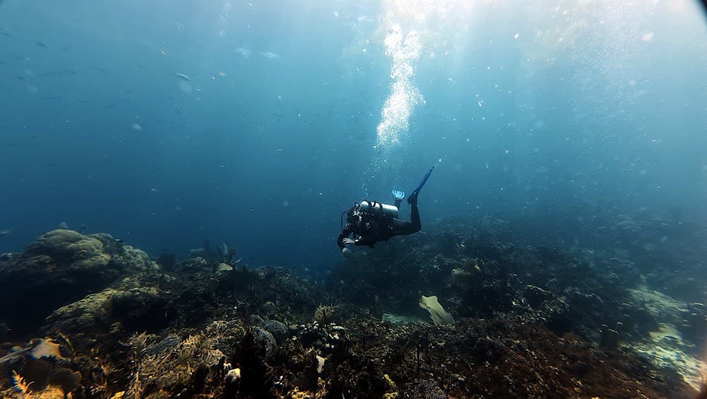 Catalina Island — The site