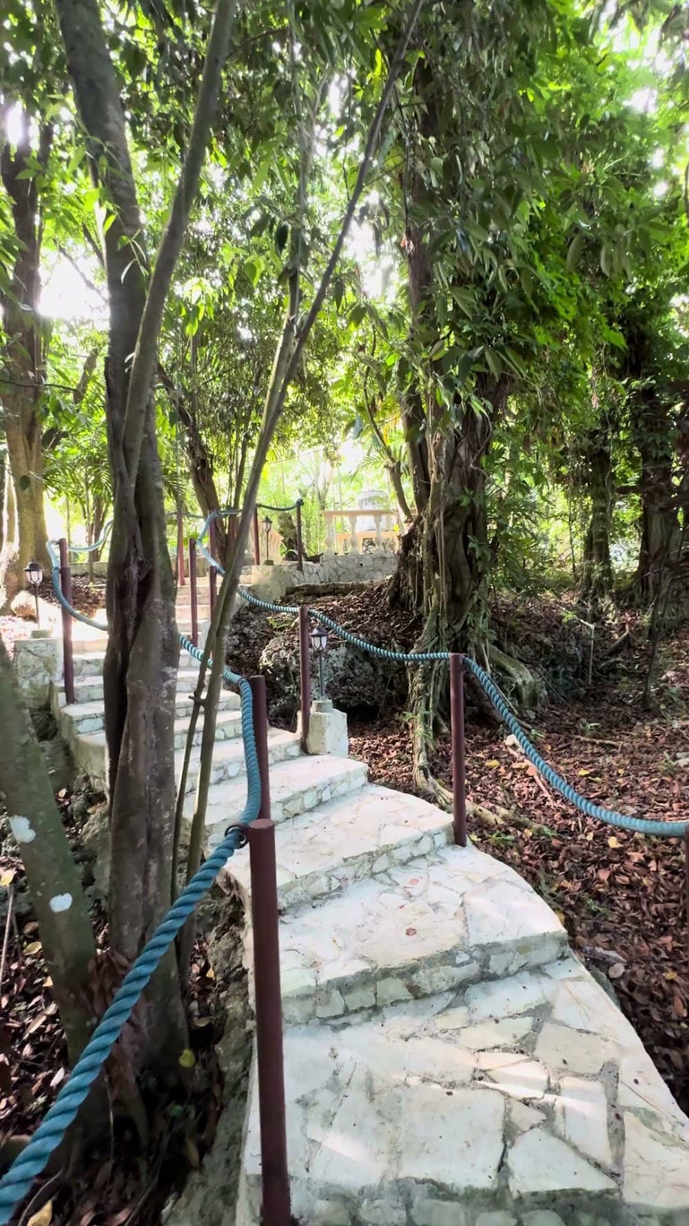 Taína cave — The site