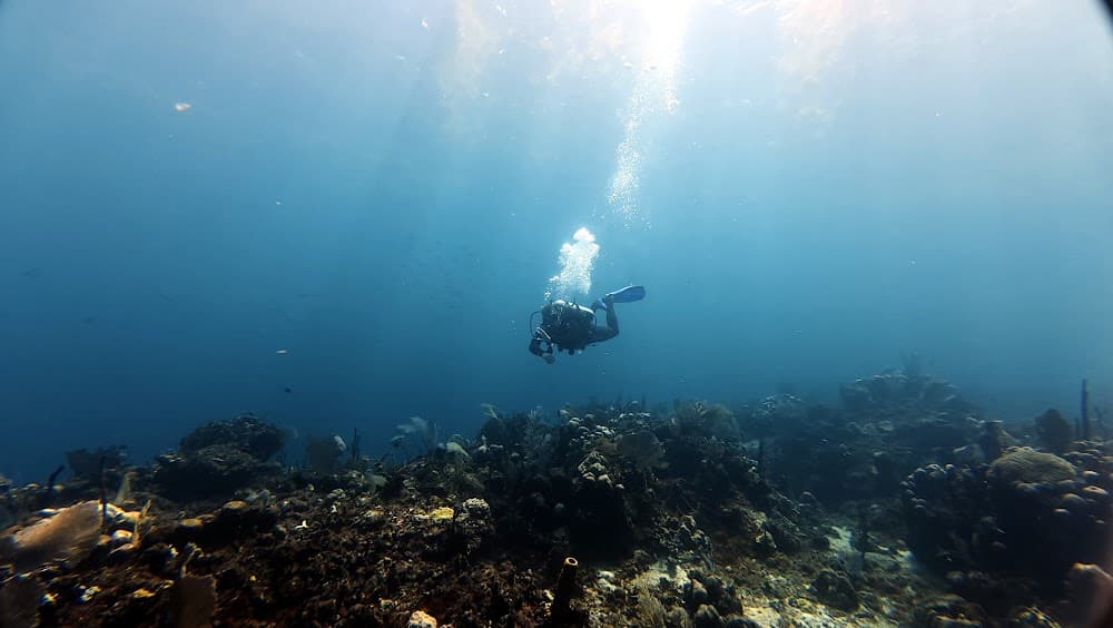 Catalina Island — The site