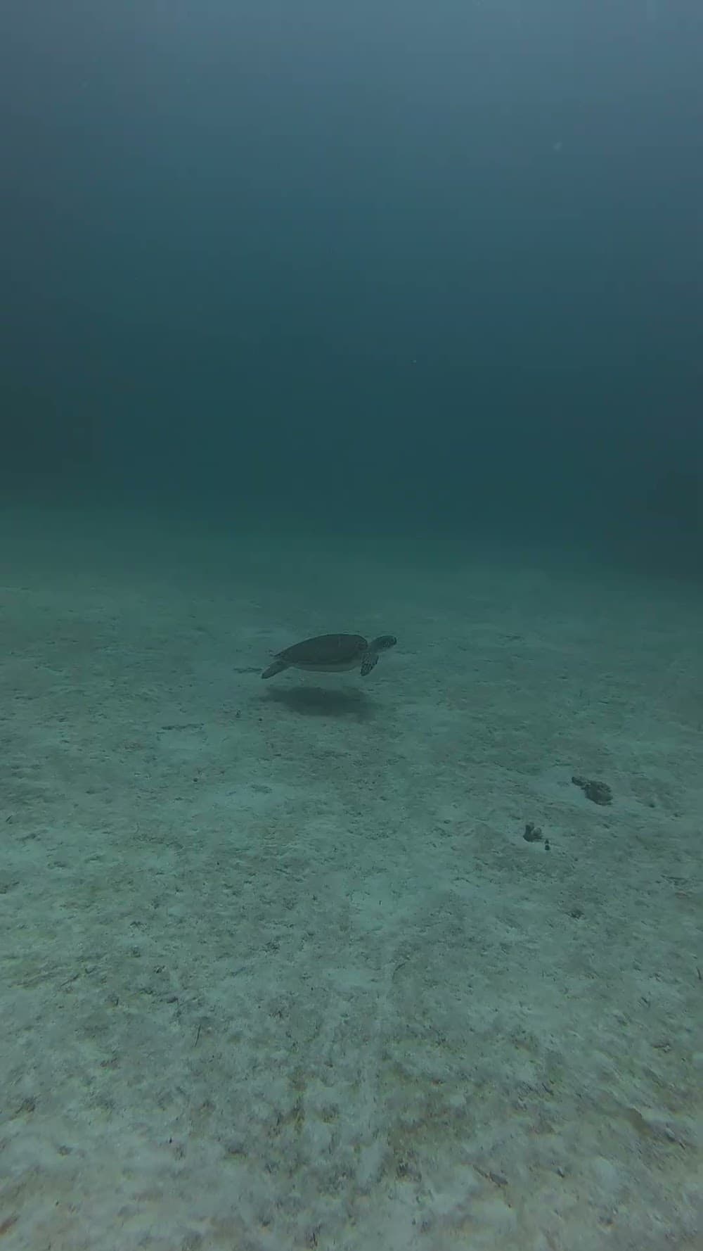 dji_mimo_20261026_114610_20261026114610_1793089034310_video.mp4
