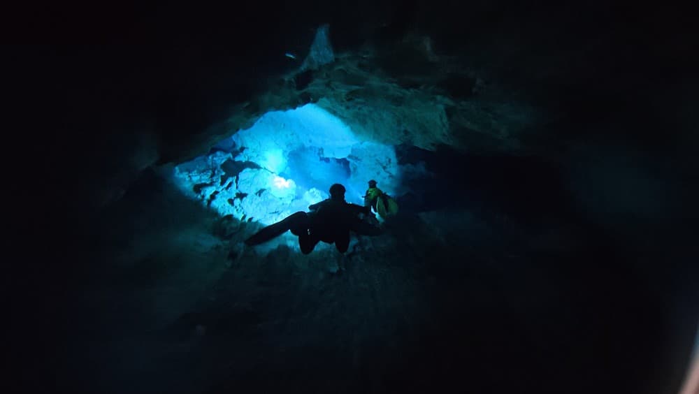 dji_mimo_20260924_114702_20260924114702_1790268680832_photo.jpg