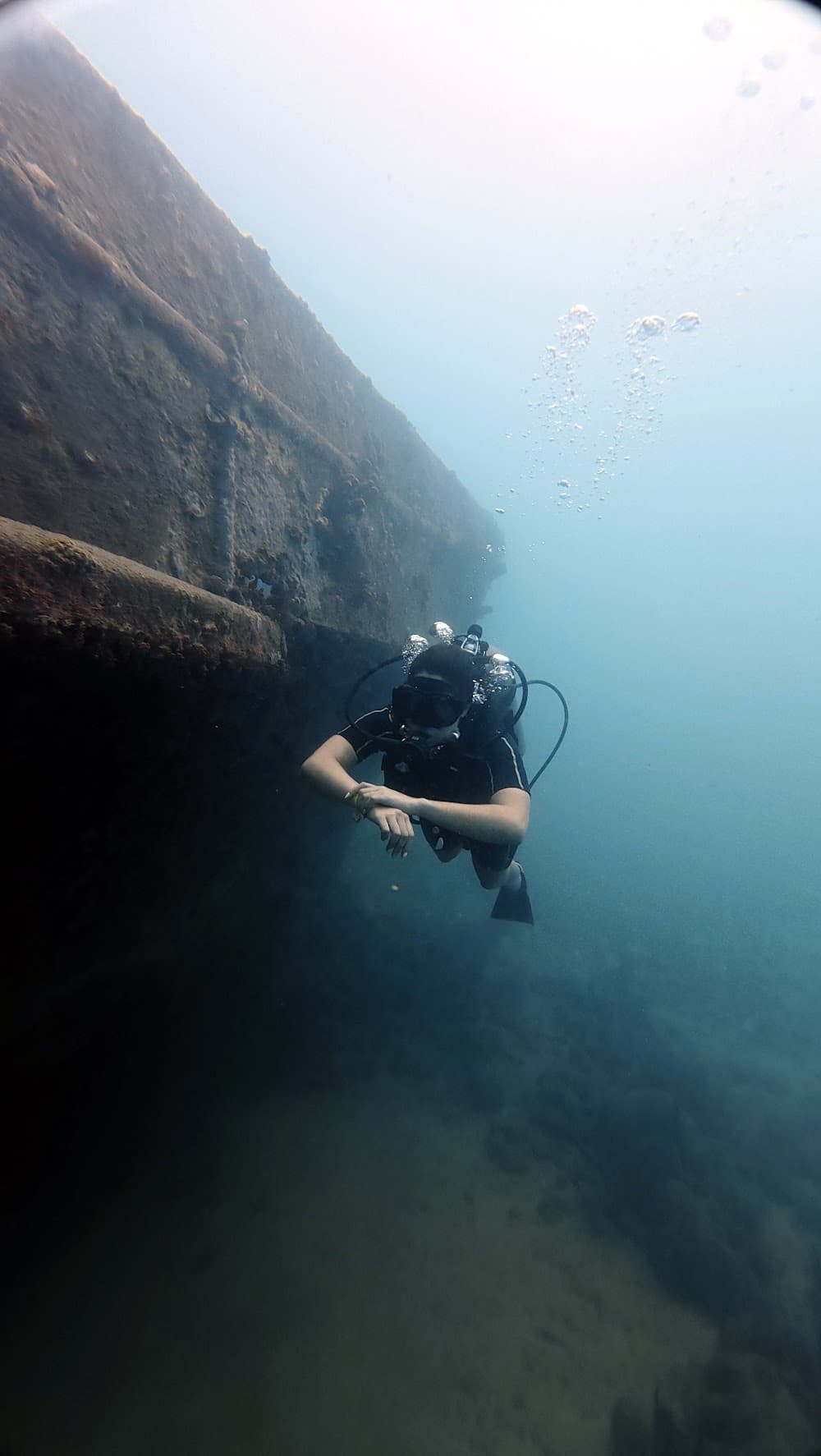 Atlantic Princess — The site