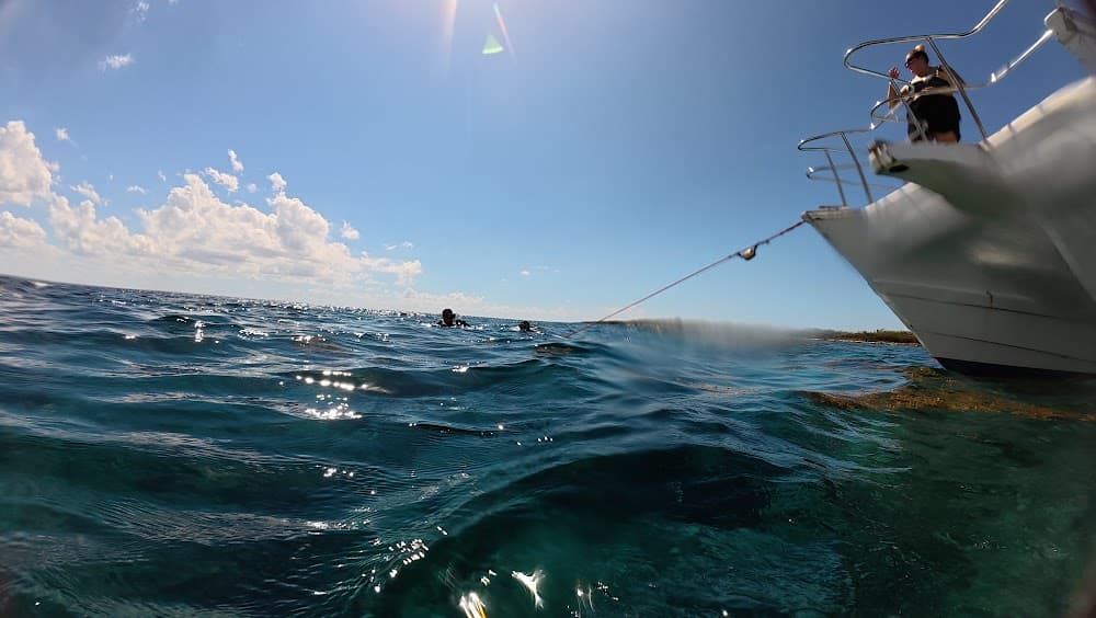 Catalina Island — The site