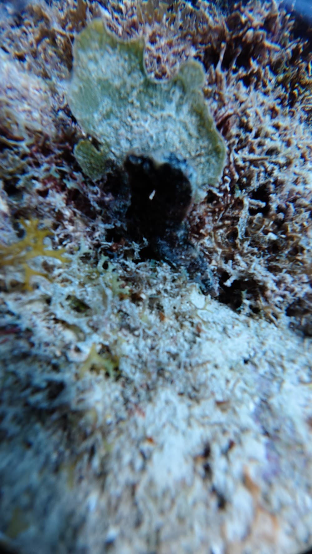 dji_mimo_20260911_103304_20260911103305_1789144378876_photo.jpg