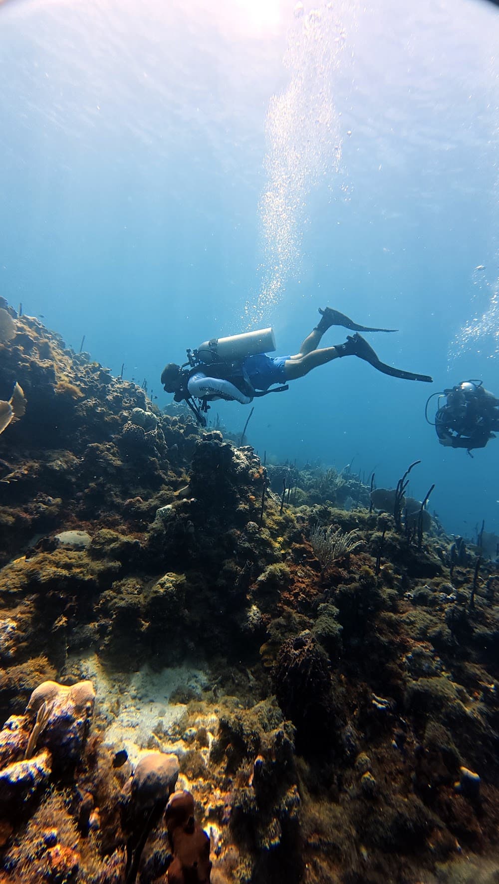 Catalina Island — The site