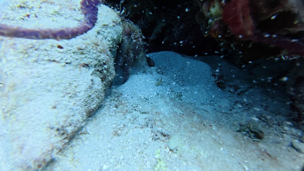 dji_mimo_20261013_113028_20261013113029_1792016928609_photo.jpg