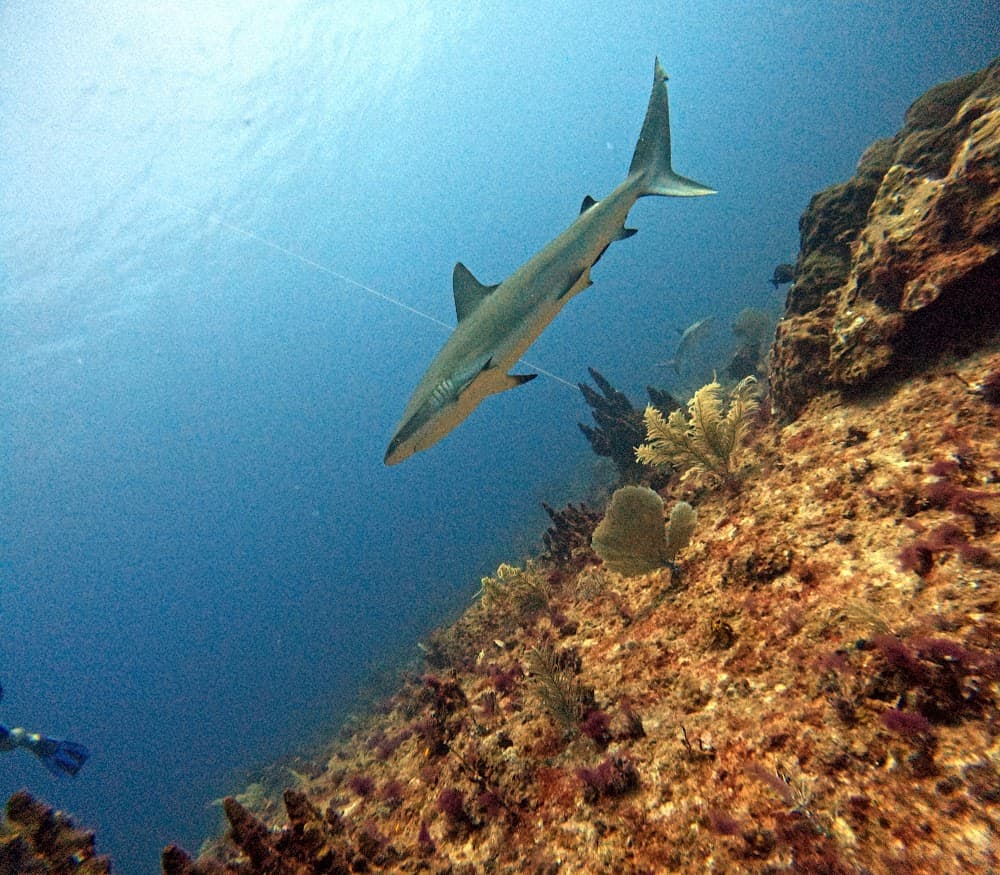 IMG_4837.JPG
