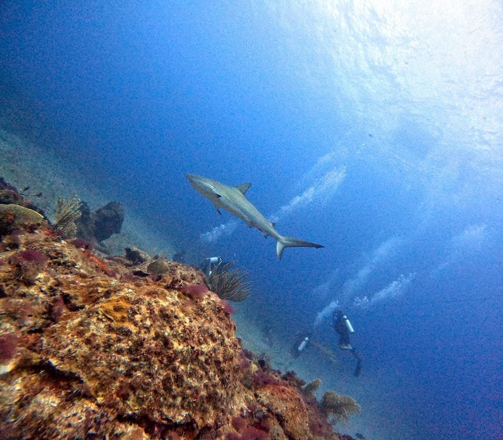 IMG_4847.JPG