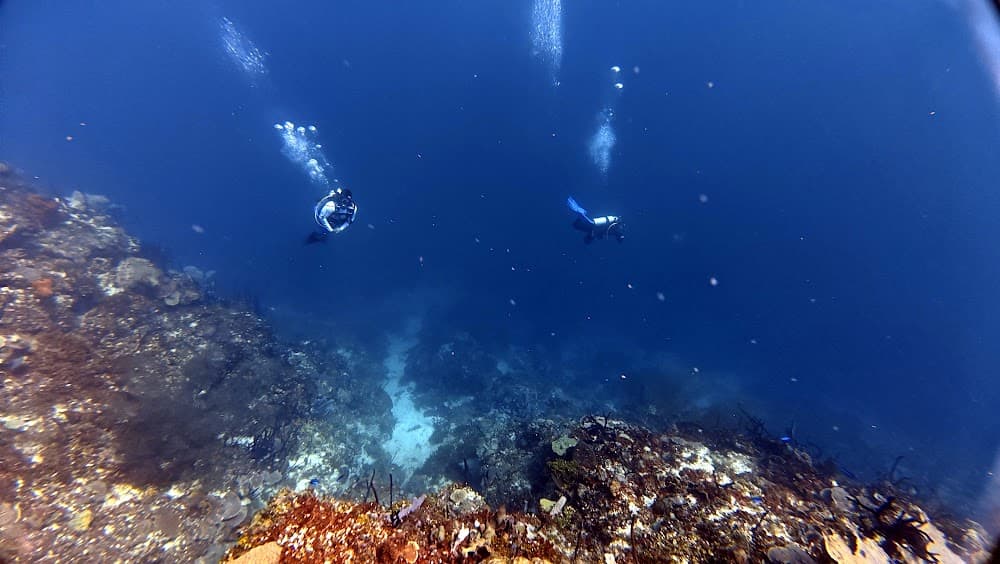 Catalina Island — The site