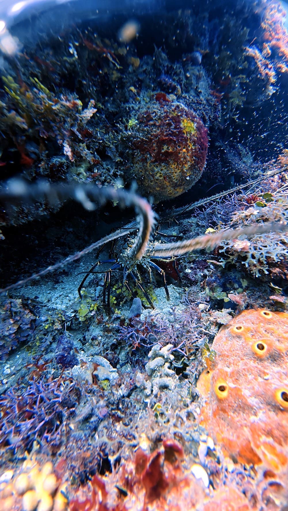 IMG_6068.JPG