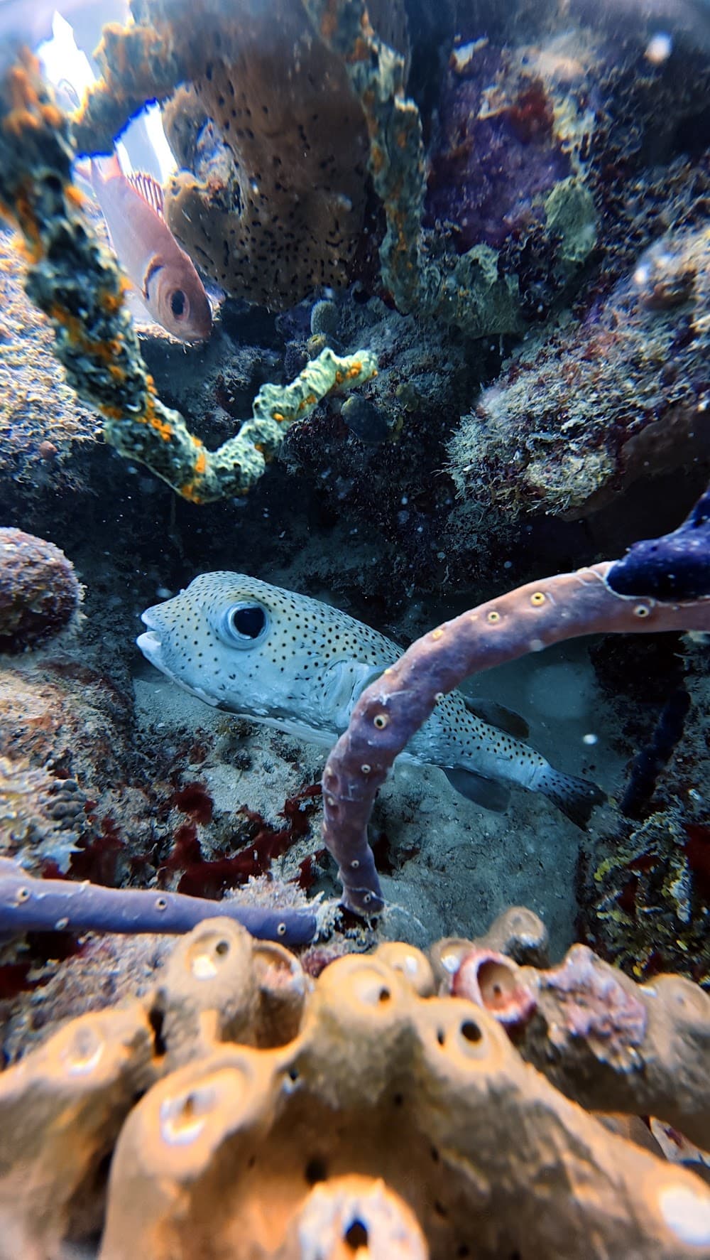 IMG_6250.JPG