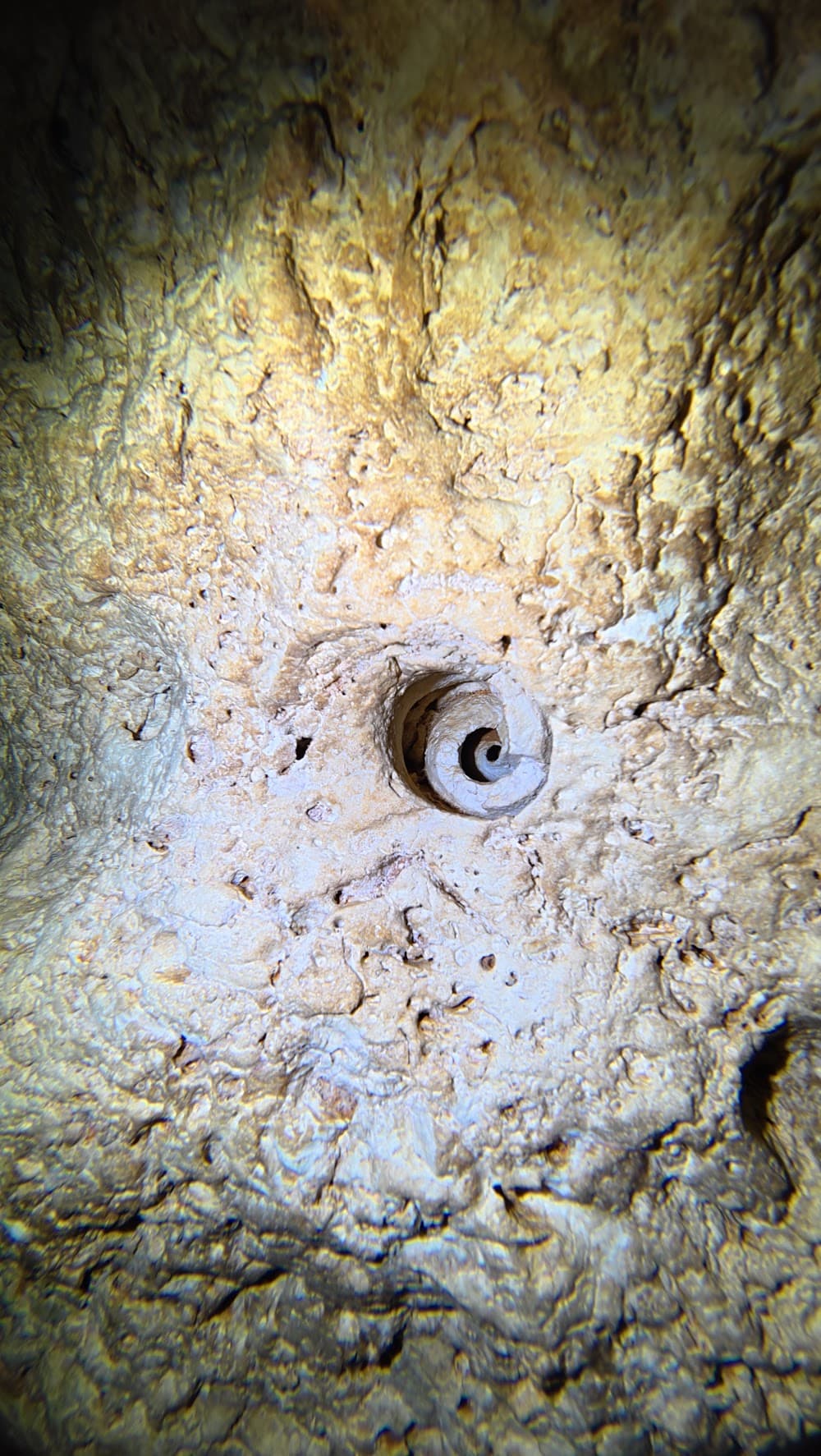 dji_mimo_20261014_142052_20261014142052_1792016930011_photo.jpg