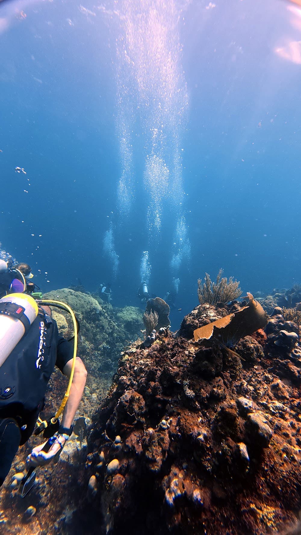 Catalina Island — The site