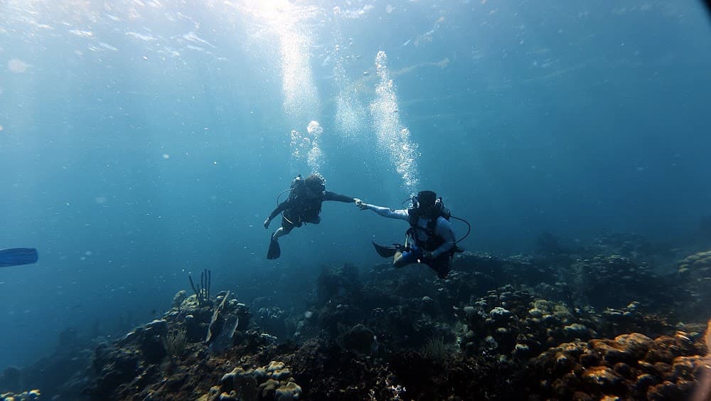 Catalina Island — The site