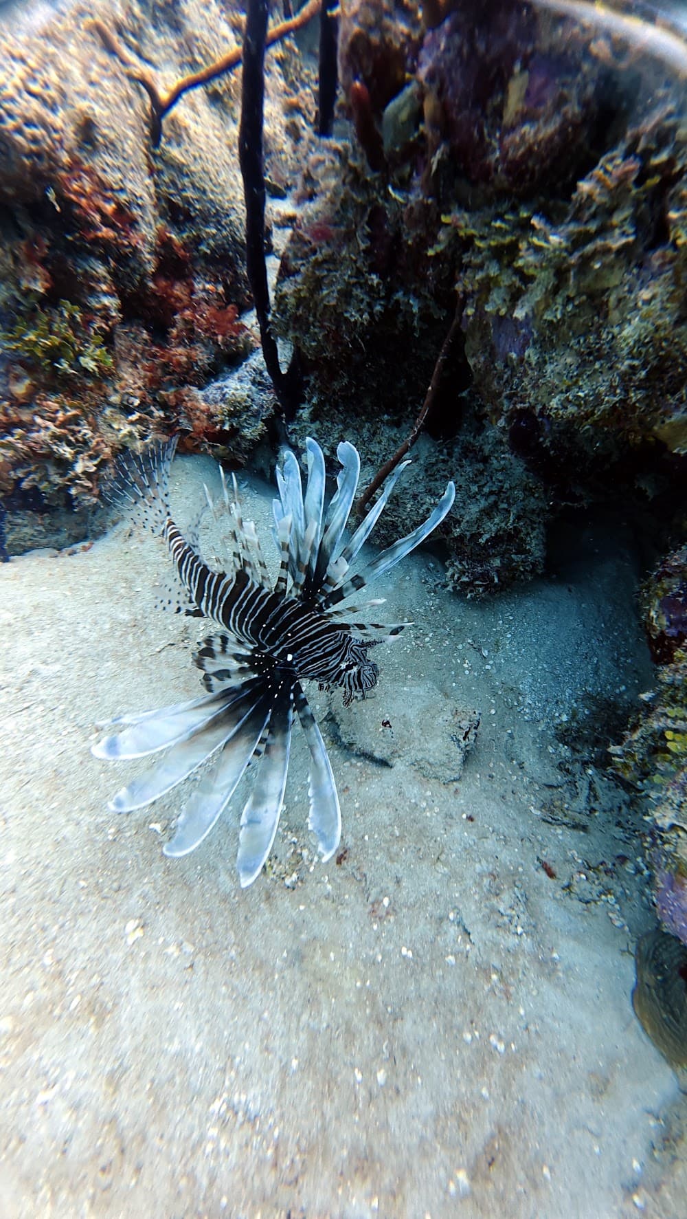 IMG_6241.JPG