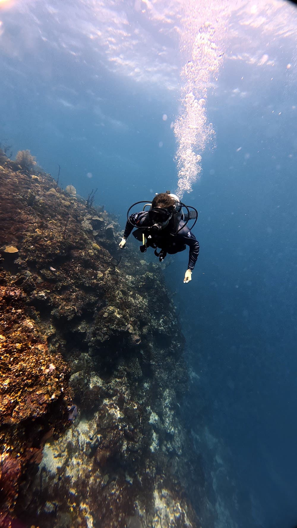 Catalina Island — The site