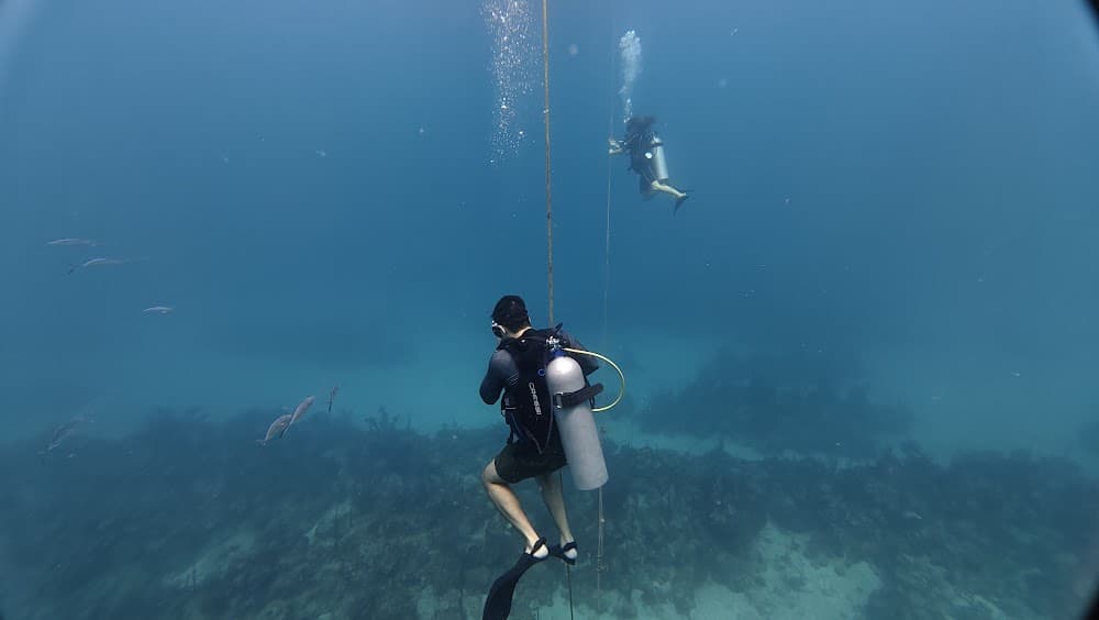 dji_mimo_20260911_110240_20260911110240_1789144378799_photo.jpg