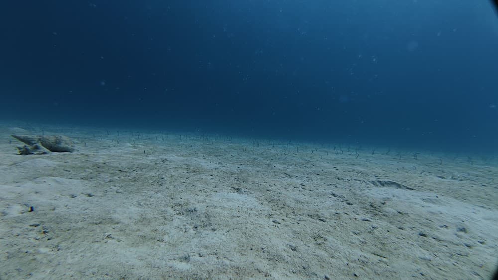 dji_mimo_20261013_103508_20261013103508_1792016928728_photo.jpg