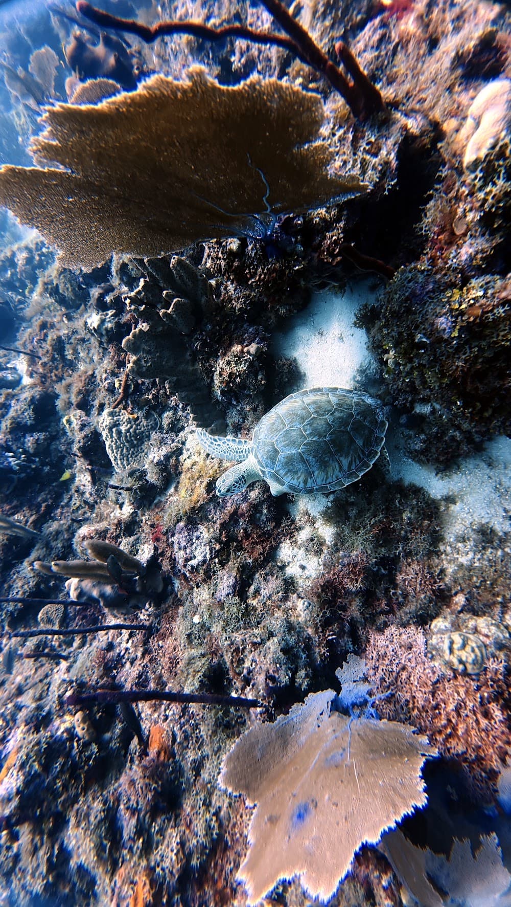 IMG_5144.JPG