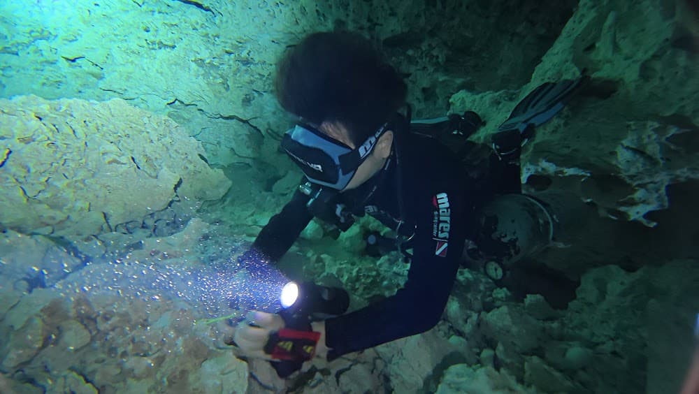 dji_mimo_20260924_115250_20260924115250_1790268680631_photo.jpg