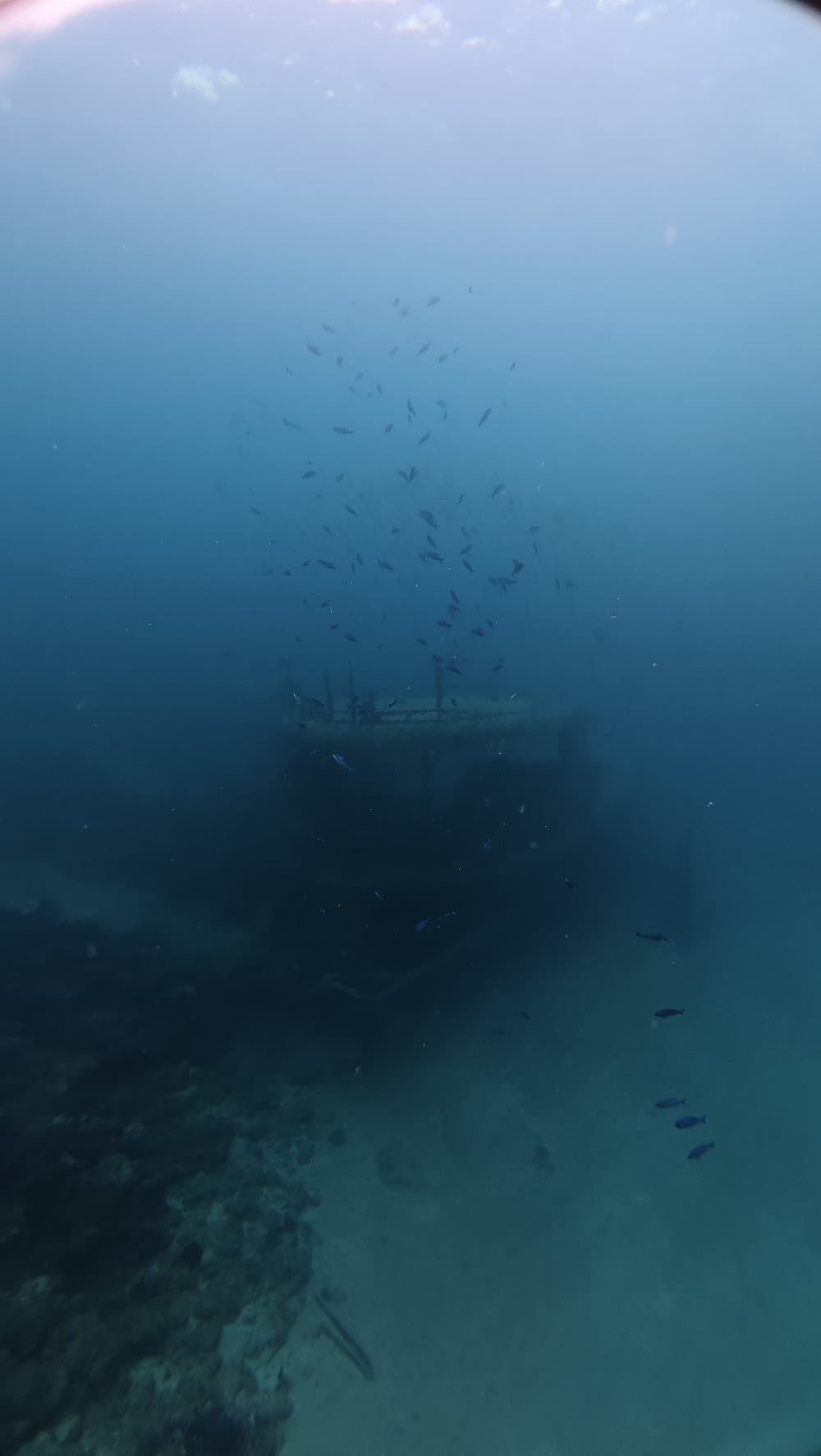 dji_mimo_20260911_110252_20260911110253_1789144378748_photo.jpg