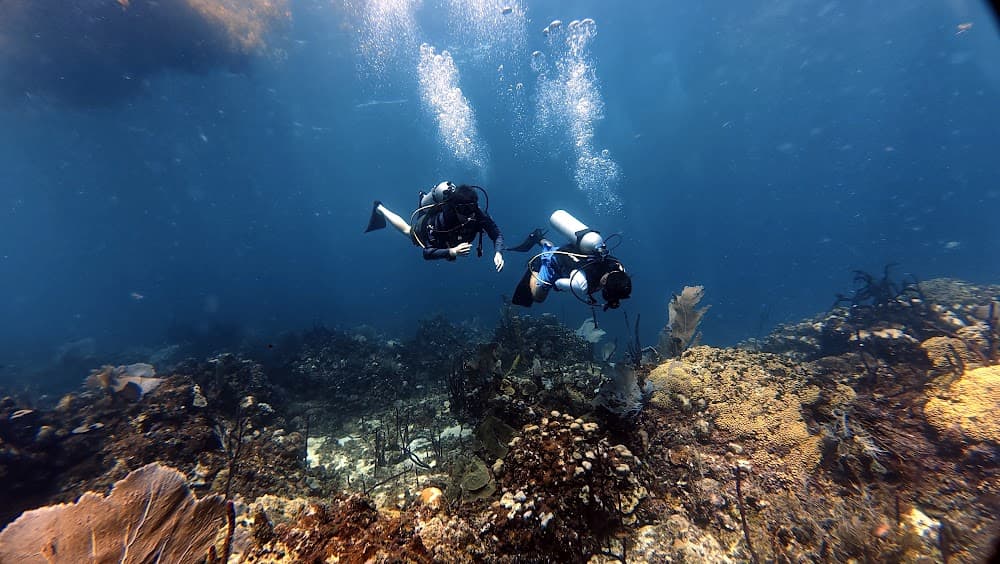 Catalina Island — The site