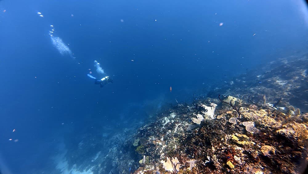 Catalina Island — The site