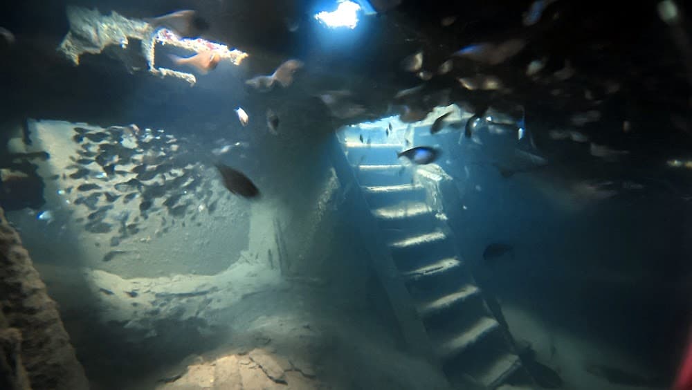 IMG_4992.JPG