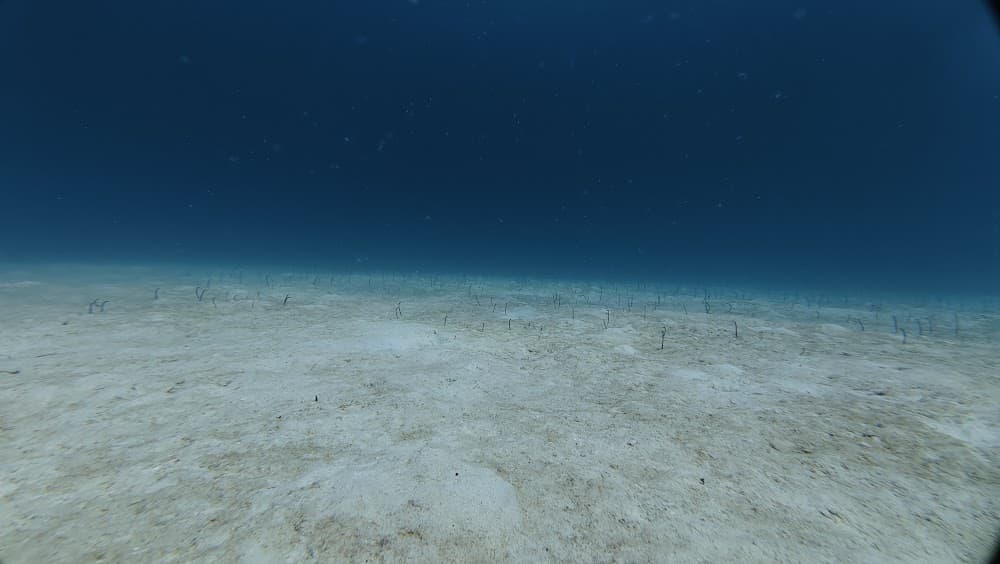 dji_mimo_20261013_103512_20261013103512_1792016928680_photo.jpg