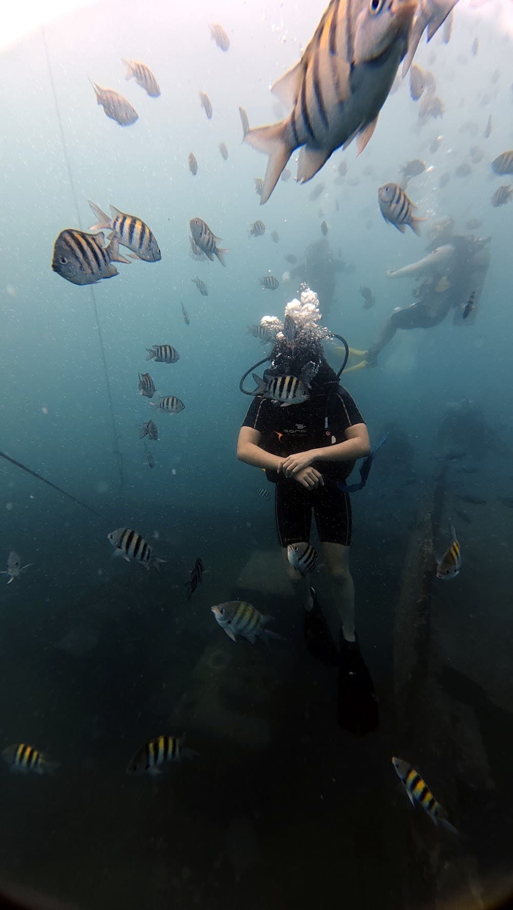 Atlantic Princess — The site