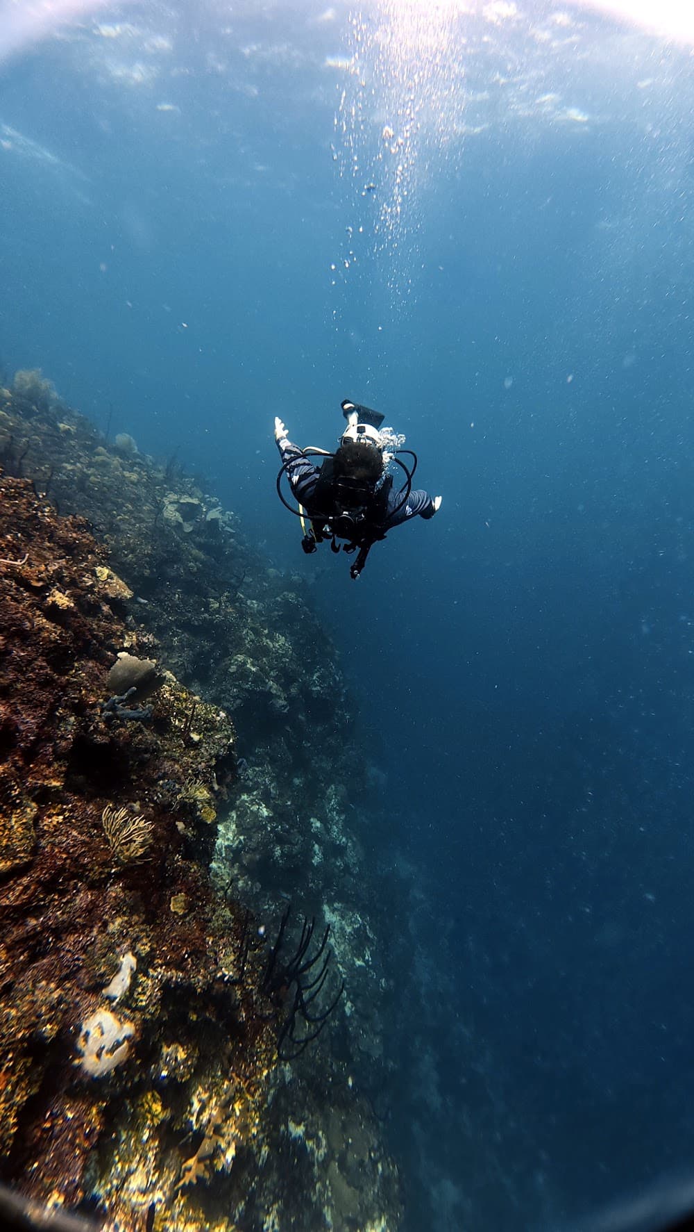 Catalina Island — The site