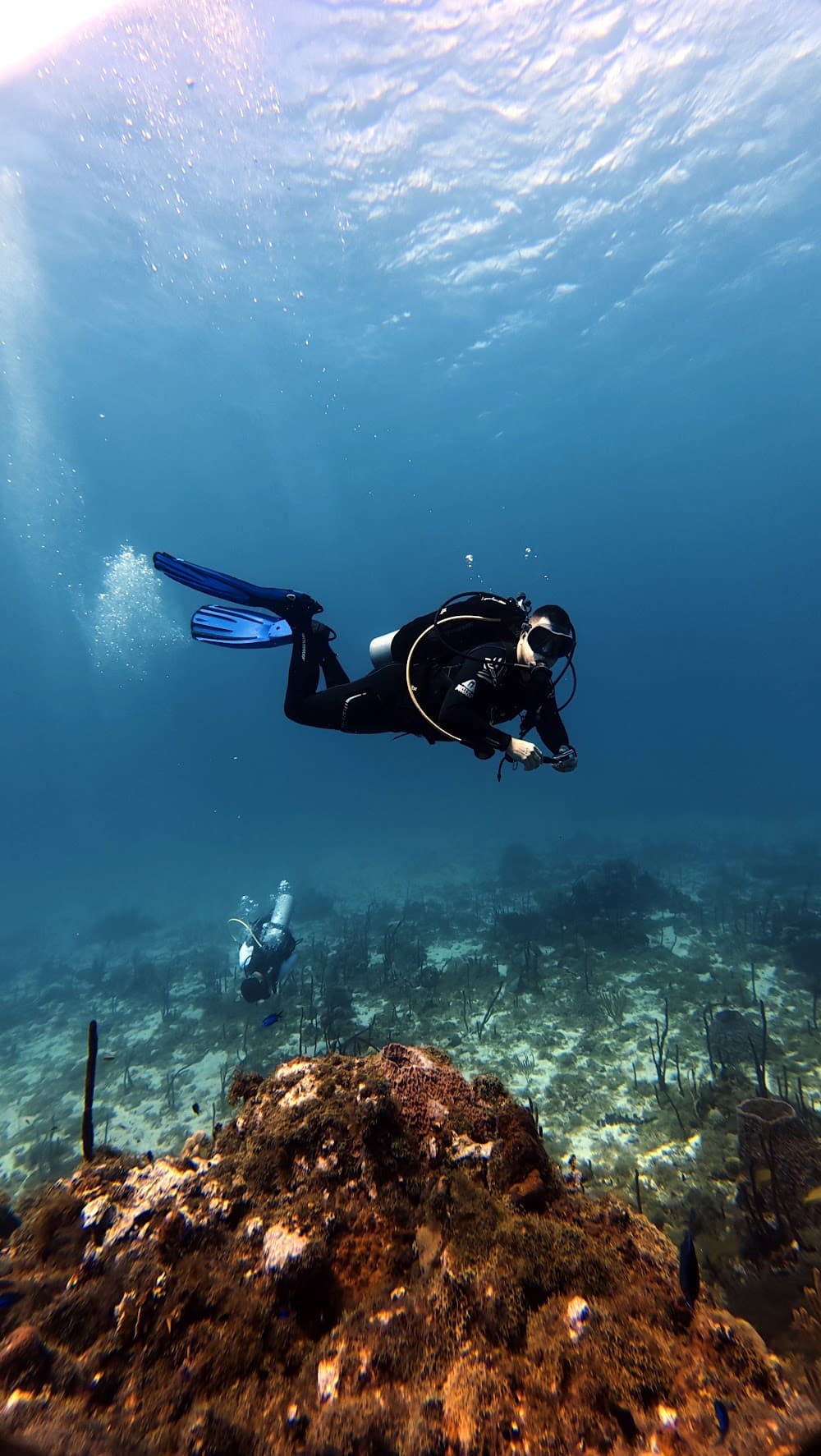 Catalina Island — The site