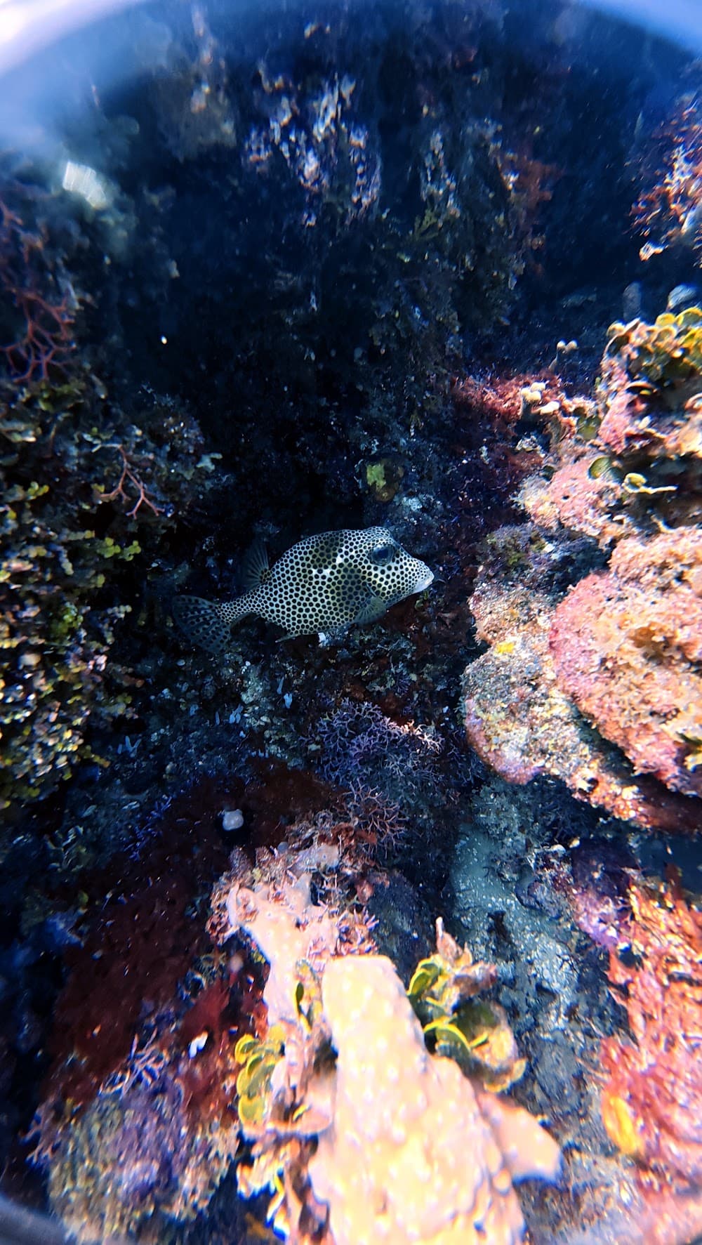 IMG_6057.JPG