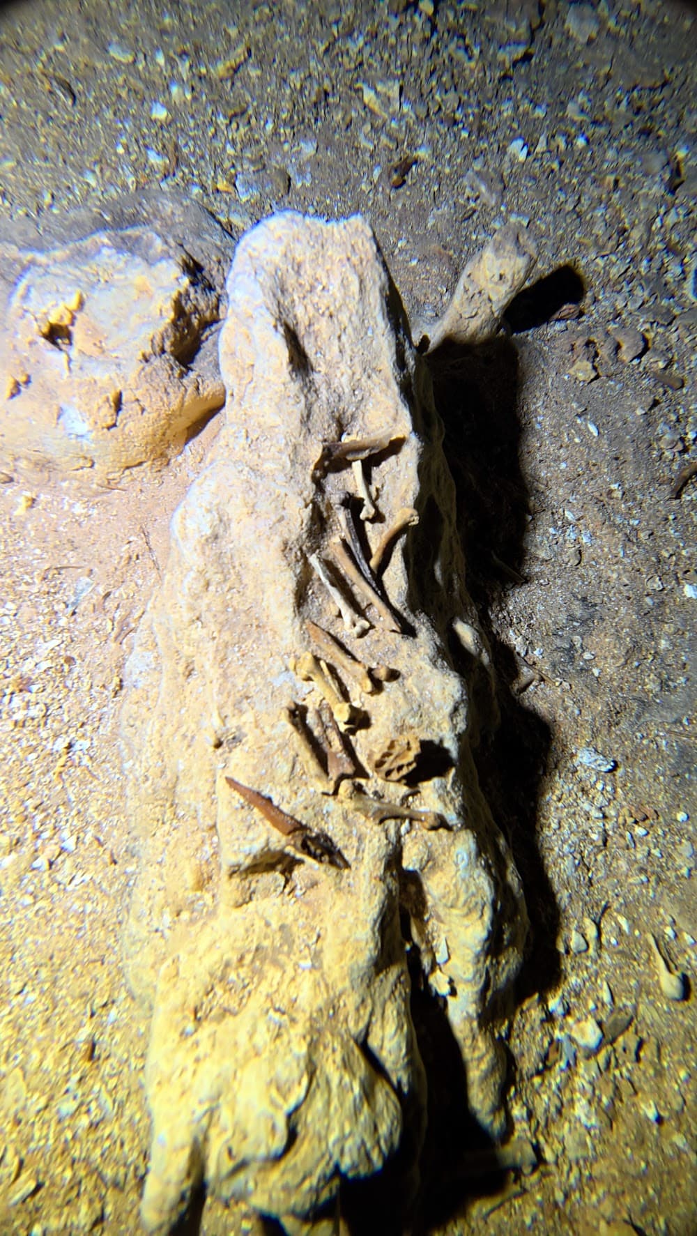 Padre Nuestro — The site