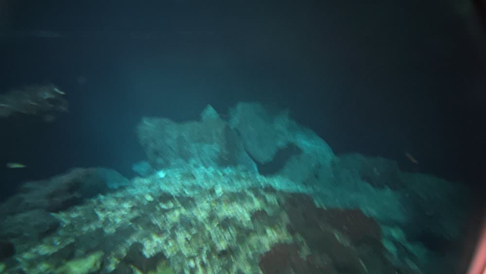 dji_mimo_20261006_093256_20261006093257_1791301531192_photo.jpg