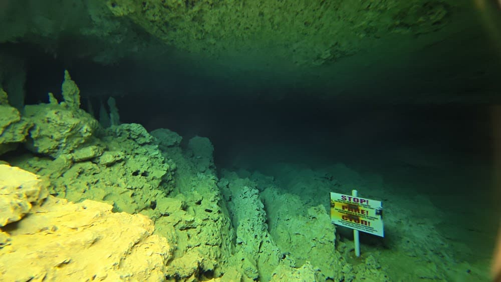 dji_mimo_20261006_095214_20261006095215_1791301530675_photo.jpg