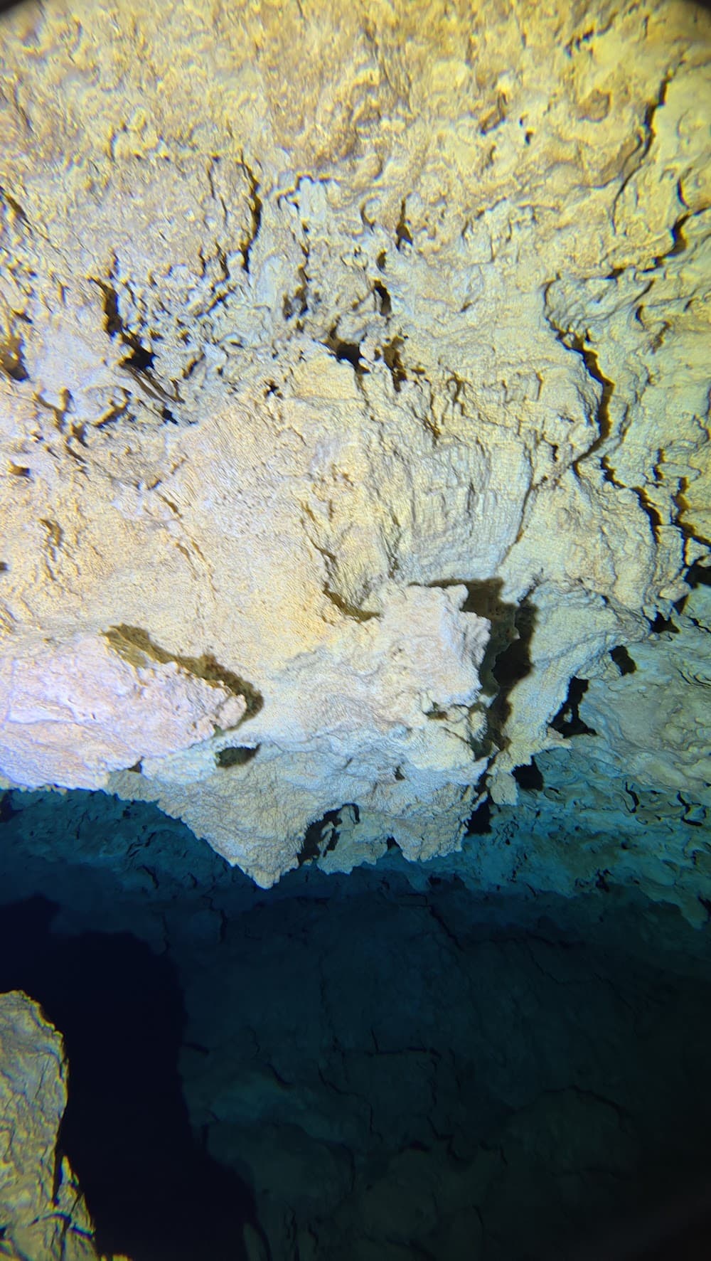 dji_mimo_20261006_095458_20261006095458_1791301530177_photo.jpg
