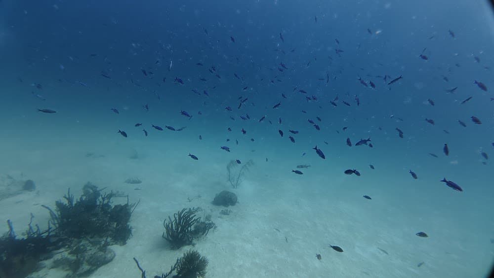 dji_mimo_20261013_103402_20261013103402_1792016928771_photo.jpg