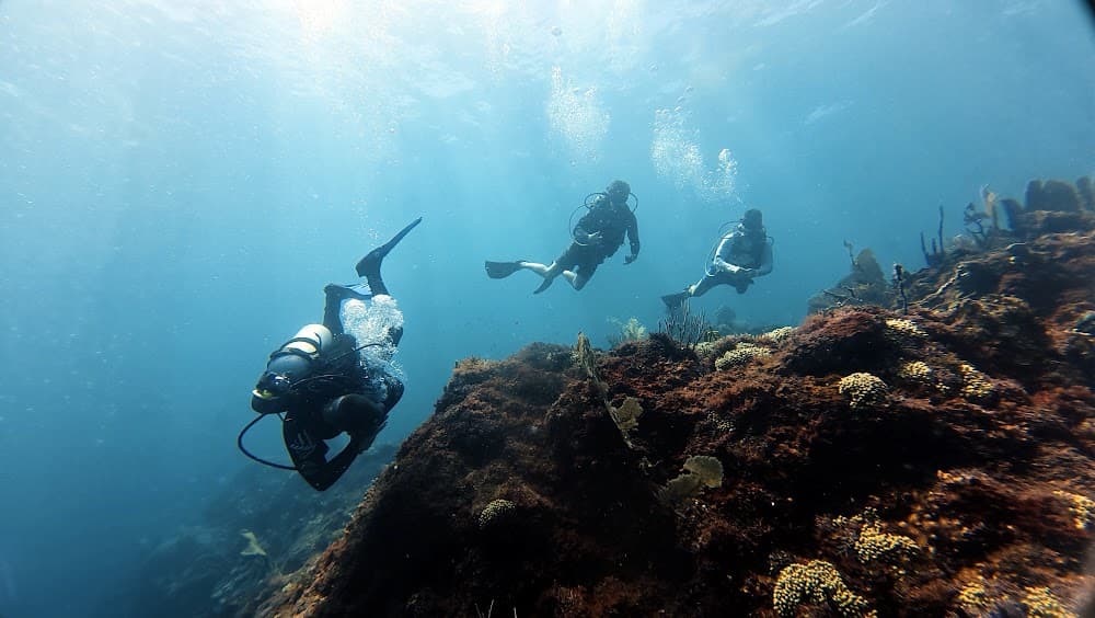 Catalina Island — The site