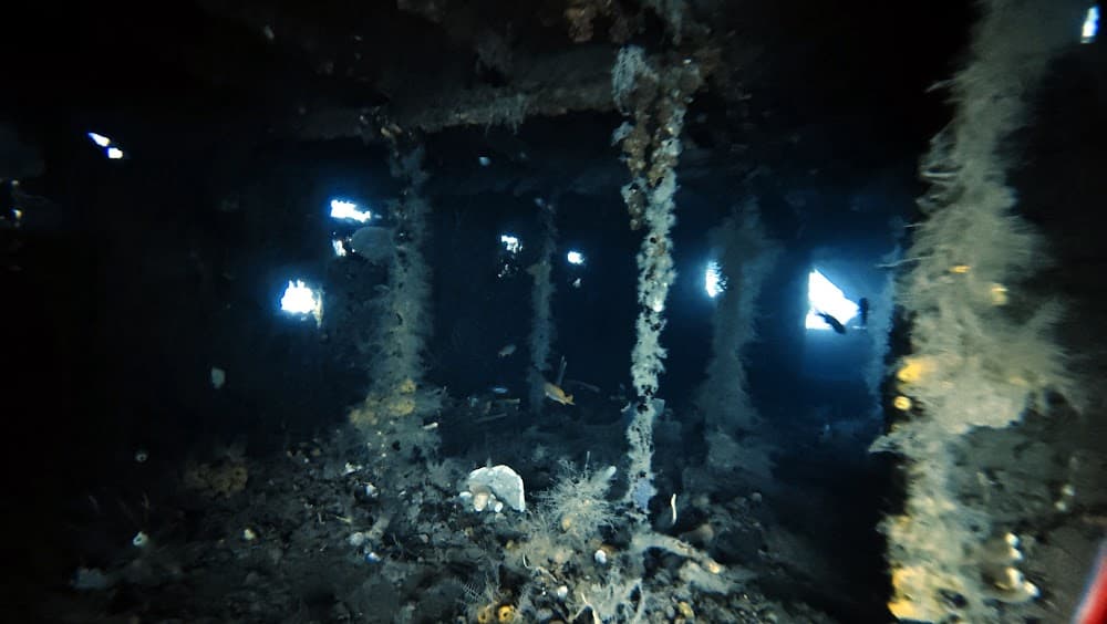 St. George — The site