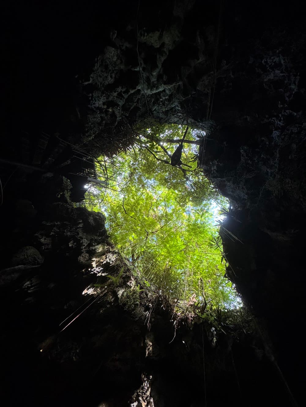 Taína cave — The site