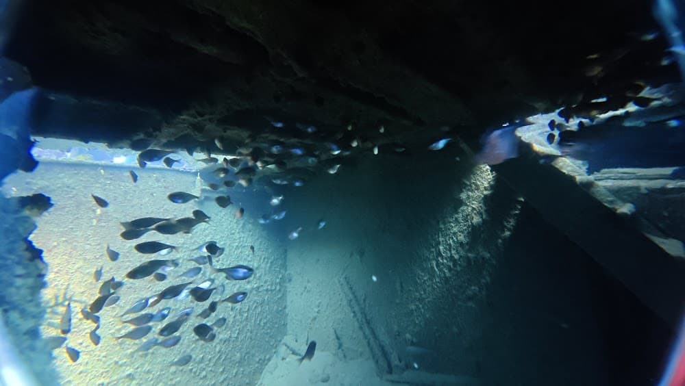 dji_mimo_20261014_114646_20261014114647_1792016931169_photo.jpg